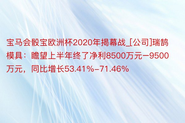 宝马会骰宝欧洲杯2020年揭幕战_[公司]瑞鹄模具：瞻望上半年终了净利8500万元–9500万元，同比增长53.41%-71.46%