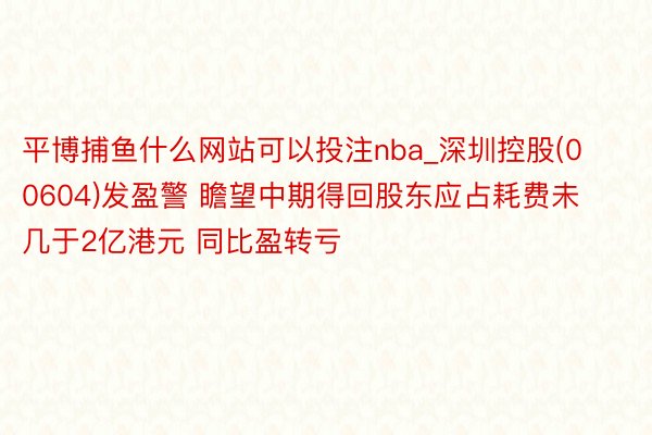 平博捕鱼什么网站可以投注nba_深圳控股(00604)发盈警 瞻望中期得回股东应占耗费未几于2亿港元 同比盈转亏