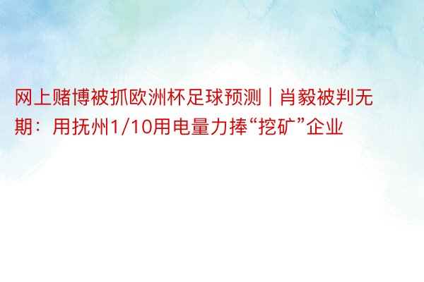 网上赌博被抓欧洲杯足球预测 | 肖毅被判无期：用抚州1/10用电量力捧“挖矿”企业