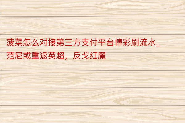 菠菜怎么对接第三方支付平台博彩刷流水_范尼或重返英超，反戈红魔