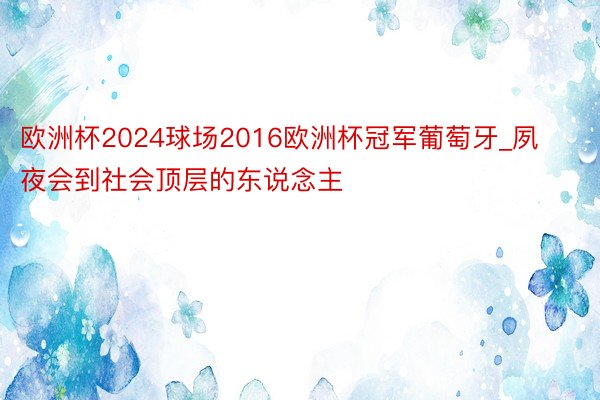 欧洲杯2024球场2016欧洲杯冠军葡萄牙_夙夜会到社会顶层的东说念主