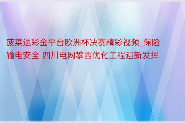 菠菜送彩金平台欧洲杯决赛精彩视频_保险输电安全 四川电网攀西优化工程迎新发挥