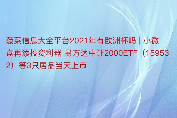 菠菜信息大全平台2021年有欧洲杯吗 | 小微盘再添投资利器 易方达中证2000ETF（159532）等3只居品当天上市